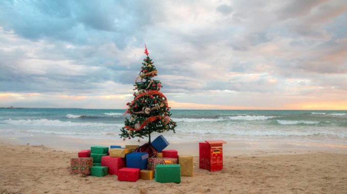 Immagini Natalizie Libere.Natale Porto Cesareo In Spiaggia Spuntano L Albero E Le Renne Appost Apulian Positive Stories